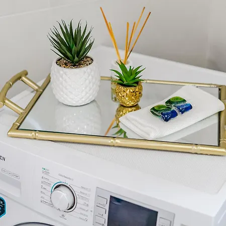 Hermitage Homes Vlg プエルト・デ・サンティアゴ